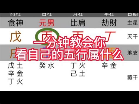 天運五行屬木|天運五行屬木代表什麼 